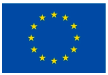UE Partner