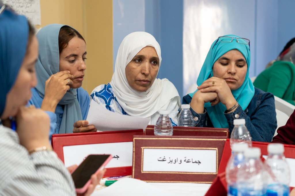 Elected women: Afourar training-action workshop on inclusive institutional communication (24/9/2025)